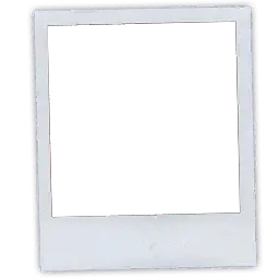 Polaroid PFP Overlay